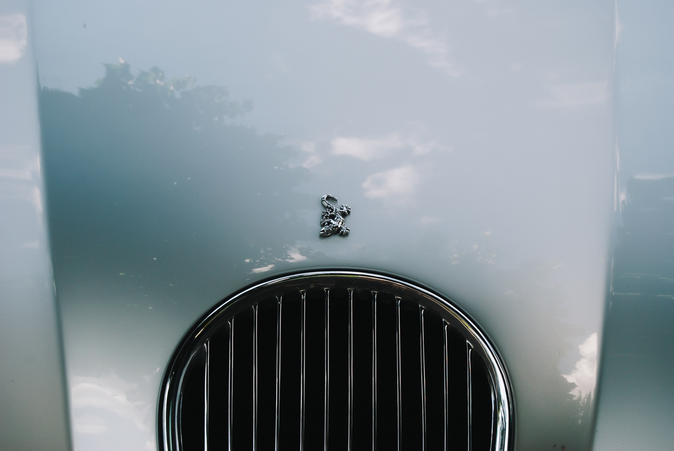 Front grille of a classic car with emblem, under a blue sky with tree reflections.