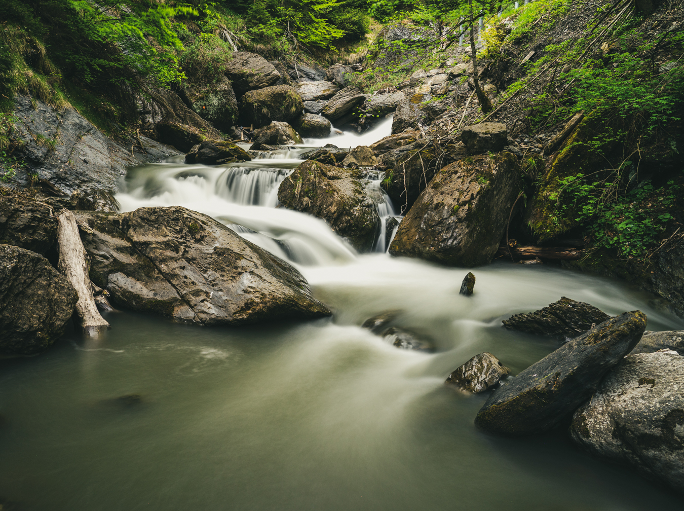 A serene forest stream with smooth water flowing over rocks.